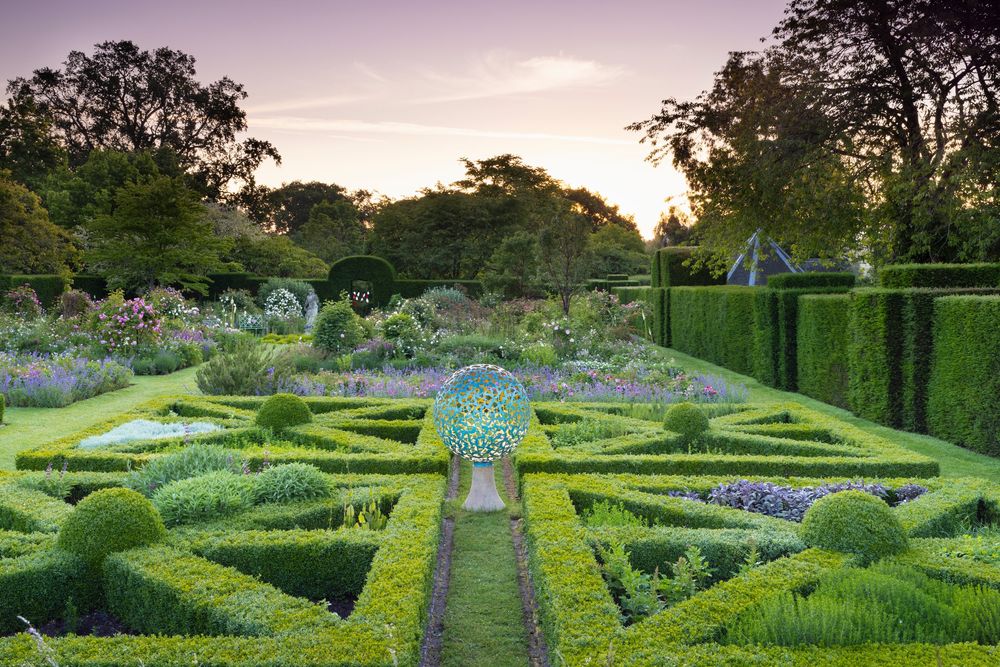 formal geometric garden layout, featuring symmetrically clipped boxwood hedges arranged in a classic parterre or knot garden design
