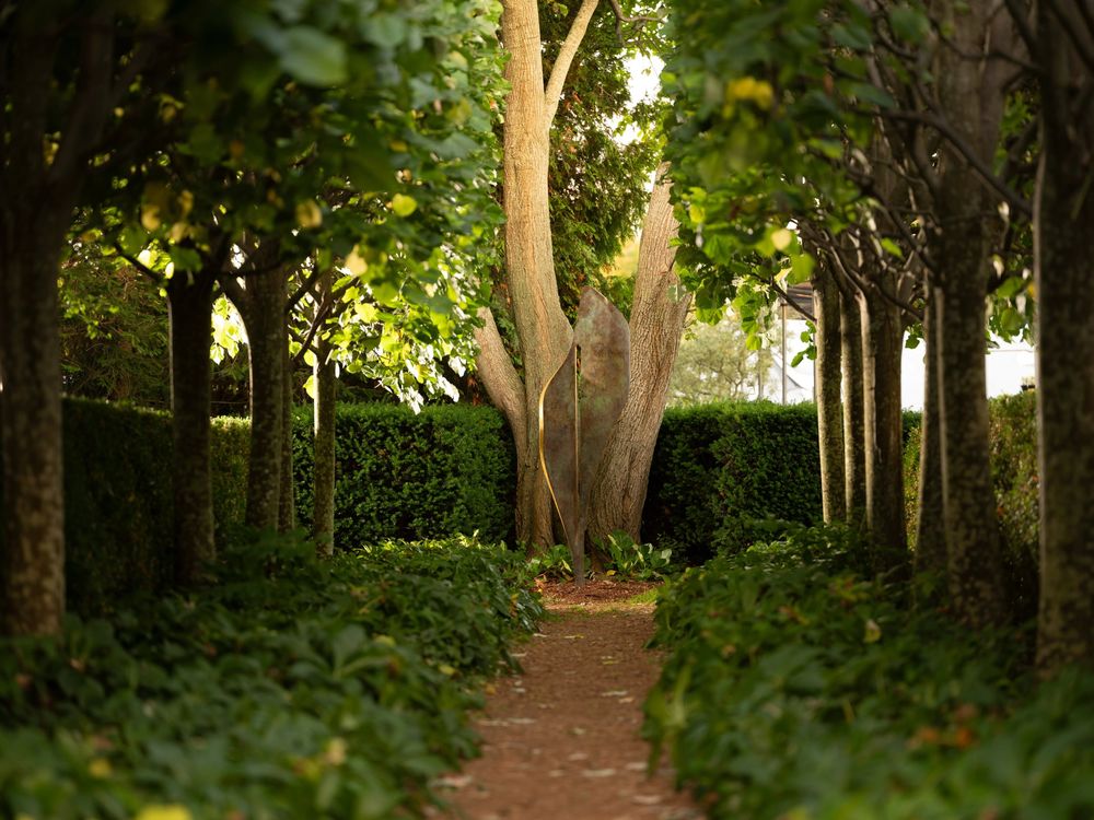 tree-lined path leads to a sculpture nestled in an architecturally designed garden