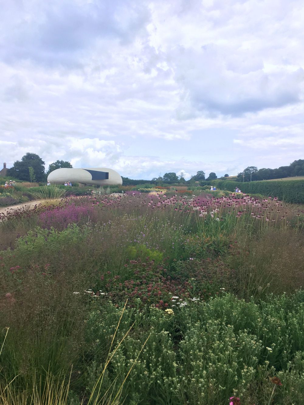 A wildflower meadow in a naturalistic landscape with Hauser and Wirth Somerset’s white modern building under a cloudy sky.