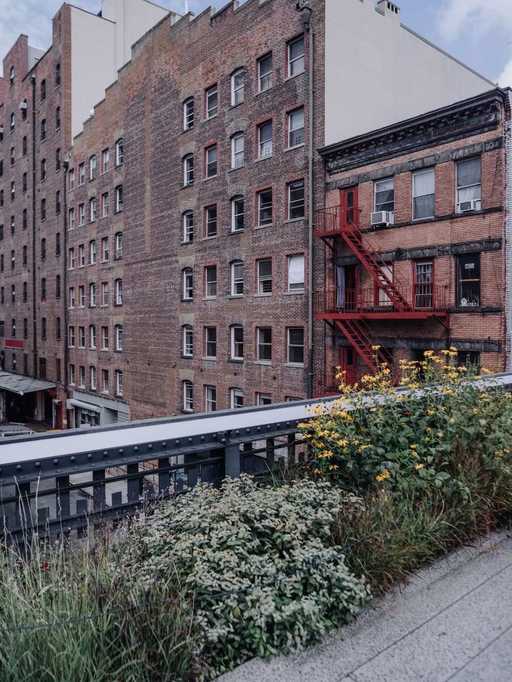 View of old brick buildings and red windows seen from the New York City High Line, surrounded by a naturalistic landscape.