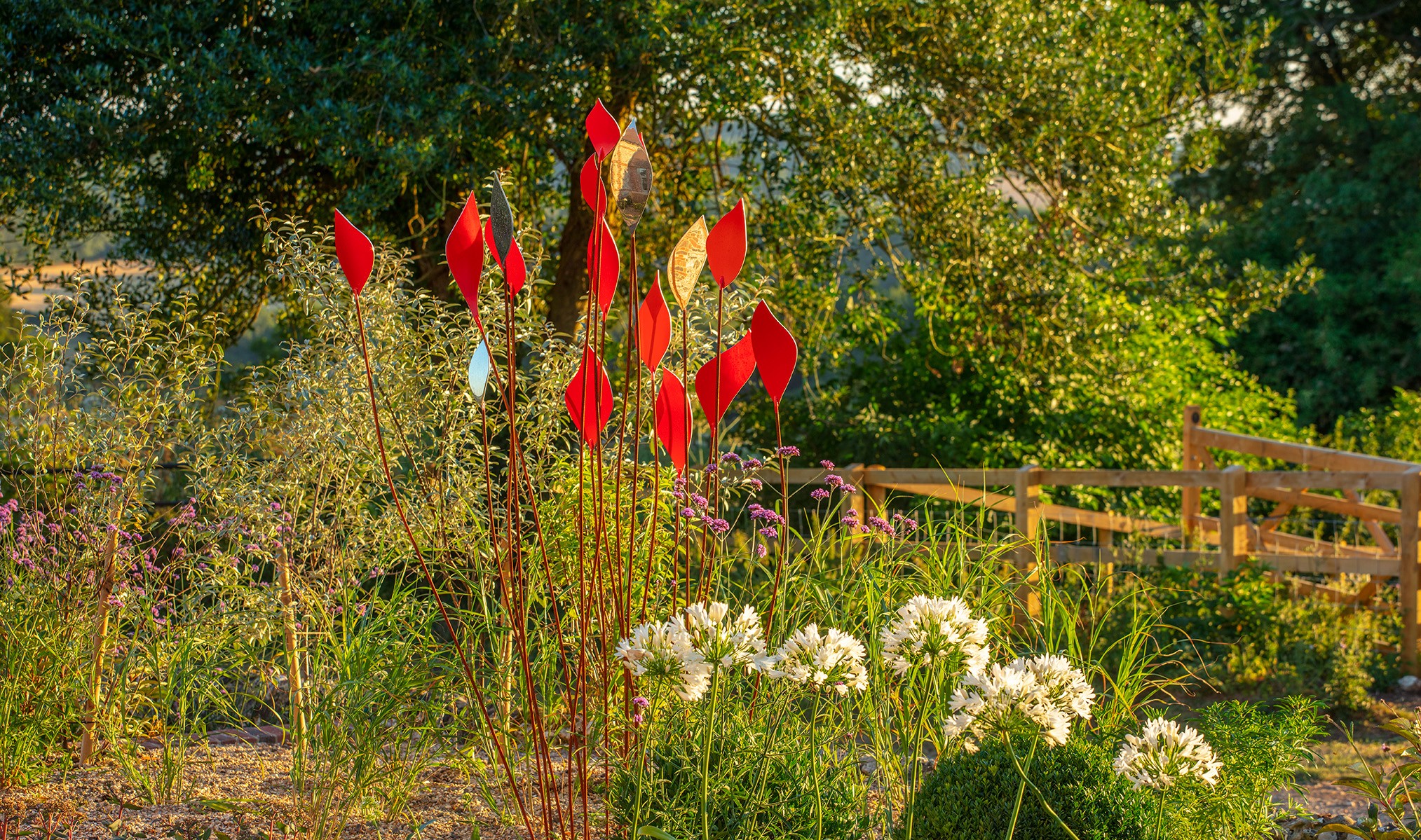 quiver in evening light